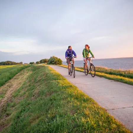 Haus Seeschwalbe Nr 7 Zingst